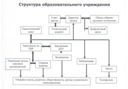 Структура и органы управления образовательной организацией